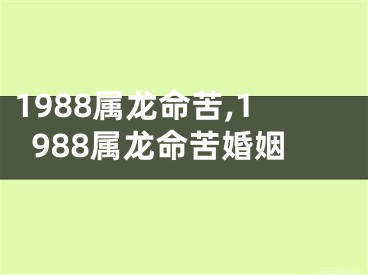 1988属龙命苦,1988属龙命苦婚姻
