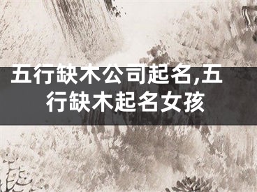 五行缺木公司起名,五行缺木起名女孩