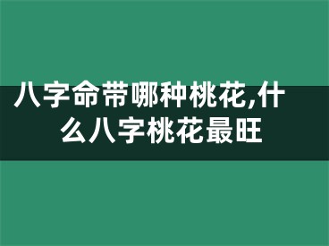 八字命带哪种桃花,什么八字桃花最旺