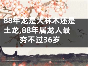 88年龙是大林木还是土龙,88年属龙人最穷不过36岁