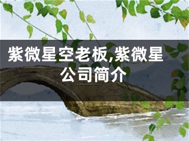 紫微星空老板,紫微星公司简介