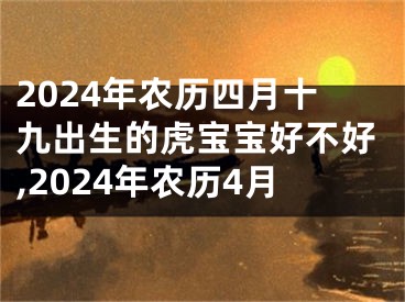 2024年农历四月十九出生的虎宝宝好不好,2024年农历4月