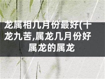 龙属相几月份最好(十龙九苦,属龙几月份好属龙的属龙