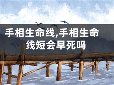 手相生命线,手相生命线短会早死吗