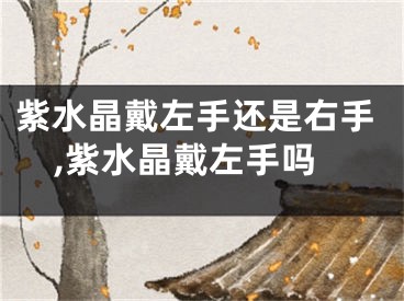 紫水晶戴左手还是右手,紫水晶戴左手吗