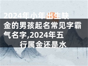 2024年小年出生缺金的男孩起名常见字霸气名字,2024年五行属金还是水