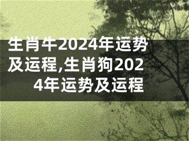 生肖牛2024年运势及运程,生肖狗2024年运势及运程