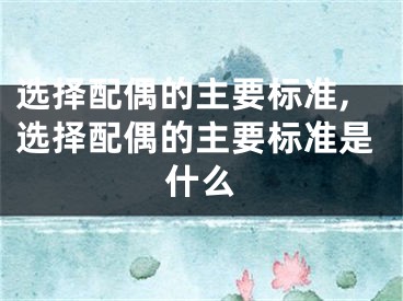 选择配偶的主要标准,选择配偶的主要标准是什么