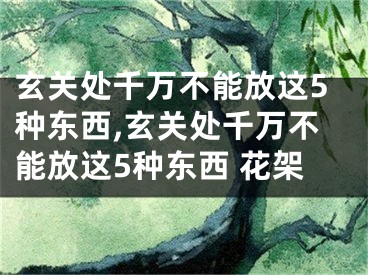 玄关处千万不能放这5种东西,玄关处千万不能放这5种东西 花架