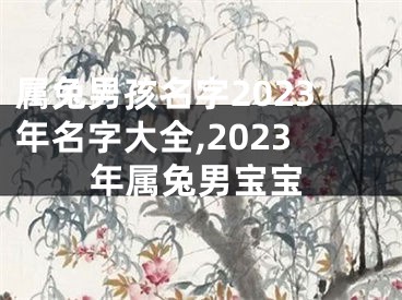 属兔男孩名字2023年名字大全,2023年属兔男宝宝
