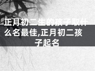正月初二生的孩子取什么名最佳,正月初二孩子起名