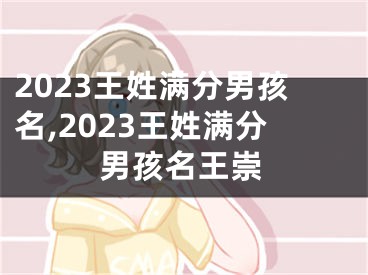 2023王姓满分男孩名,2023王姓满分男孩名王崇
