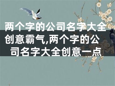 两个字的公司名字大全创意霸气,两个字的公司名字大全创意一点