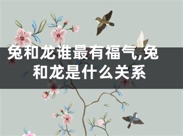 兔和龙谁最有福气,兔和龙是什么关系