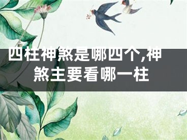 四柱神煞是哪四个,神煞主要看哪一柱