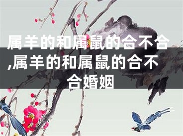 属羊的和属鼠的合不合,属羊的和属鼠的合不合婚姻