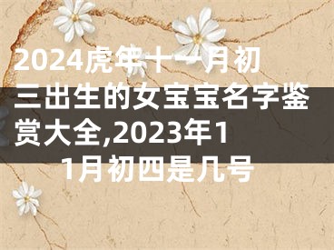 2024虎年十一月初三出生的女宝宝名字鉴赏大全,2023年11月初四是几号