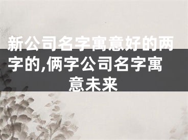 新公司名字寓意好的两字的,俩字公司名字寓意未来