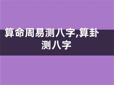 算命周易测八字,算卦测八字