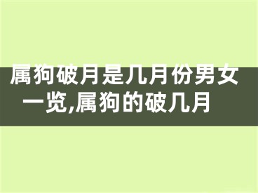 属狗破月是几月份男女一览,属狗的破几月