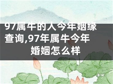 97属牛的人今年姻缘查询,97年属牛今年婚姻怎么样