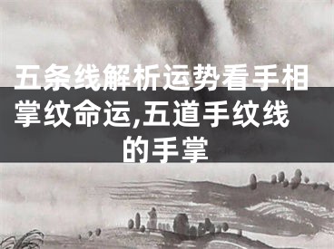 五条线解析运势看手相掌纹命运,五道手纹线的手掌