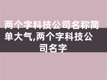 两个字科技公司名称简单大气,两个字科技公司名字
