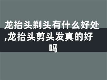 龙抬头剃头有什么好处,龙抬头剪头发真的好吗