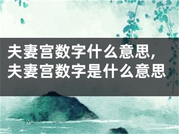 夫妻宫数字什么意思,夫妻宫数字是什么意思