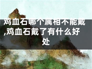 鸡血石哪个属相不能戴,鸡血石戴了有什么好处