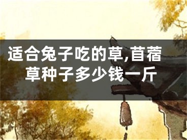 适合兔子吃的草,苜蓿草种子多少钱一斤