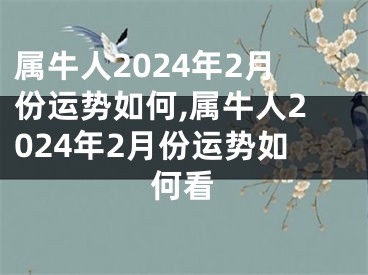 属牛人2024年2月份运势如何,属牛人2024年2月份运势如何看