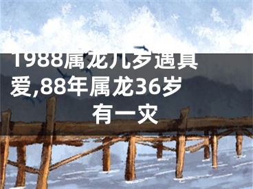 1988属龙几岁遇真爱,88年属龙36岁有一灾