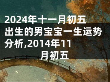 2024年十一月初五出生的男宝宝一生运势分析,2014年11月初五