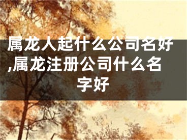 属龙人起什么公司名好,属龙注册公司什么名字好