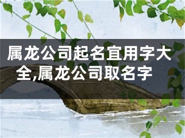 属龙公司起名宜用字大全,属龙公司取名字