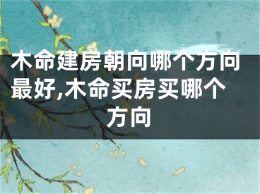 木命建房朝向哪个方向最好,木命买房买哪个方向