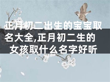 正月初二出生的宝宝取名大全,正月初二生的女孩取什么名字好听
