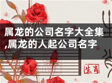 属龙的公司名字大全集,属龙的人起公司名字