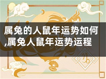 属兔的人鼠年运势如何,属兔人鼠年运势运程