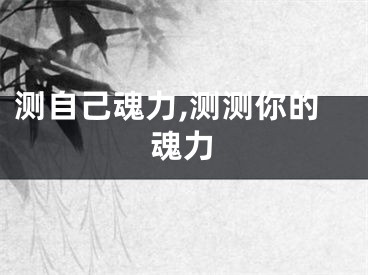 测自己魂力,测测你的魂力