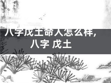 八字戊土命人怎么样,八字 戊土