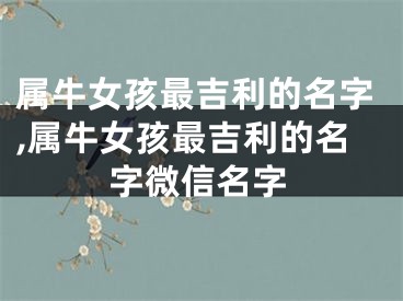 属牛女孩最吉利的名字,属牛女孩最吉利的名字微信名字