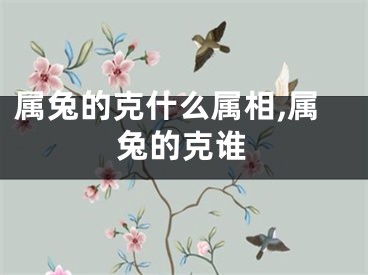 属兔的克什么属相,属兔的克谁