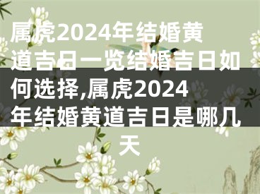 属虎2024年结婚黄道吉日一览结婚吉日如何选择,属虎2024年结婚黄道吉日是哪几天