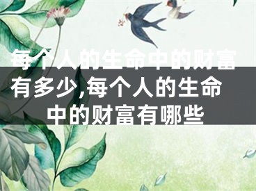 每个人的生命中的财富有多少,每个人的生命中的财富有哪些