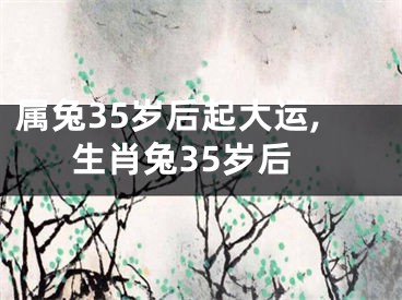 属兔35岁后起大运,生肖兔35岁后
