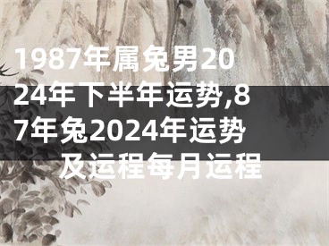 1987年属兔男2024年下半年运势,87年兔2024年运势及运程每月运程