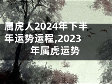 属虎人2024年下半年运势运程,2023年属虎运势