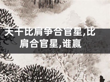 天干比肩争合官星,比肩合官星,谁赢